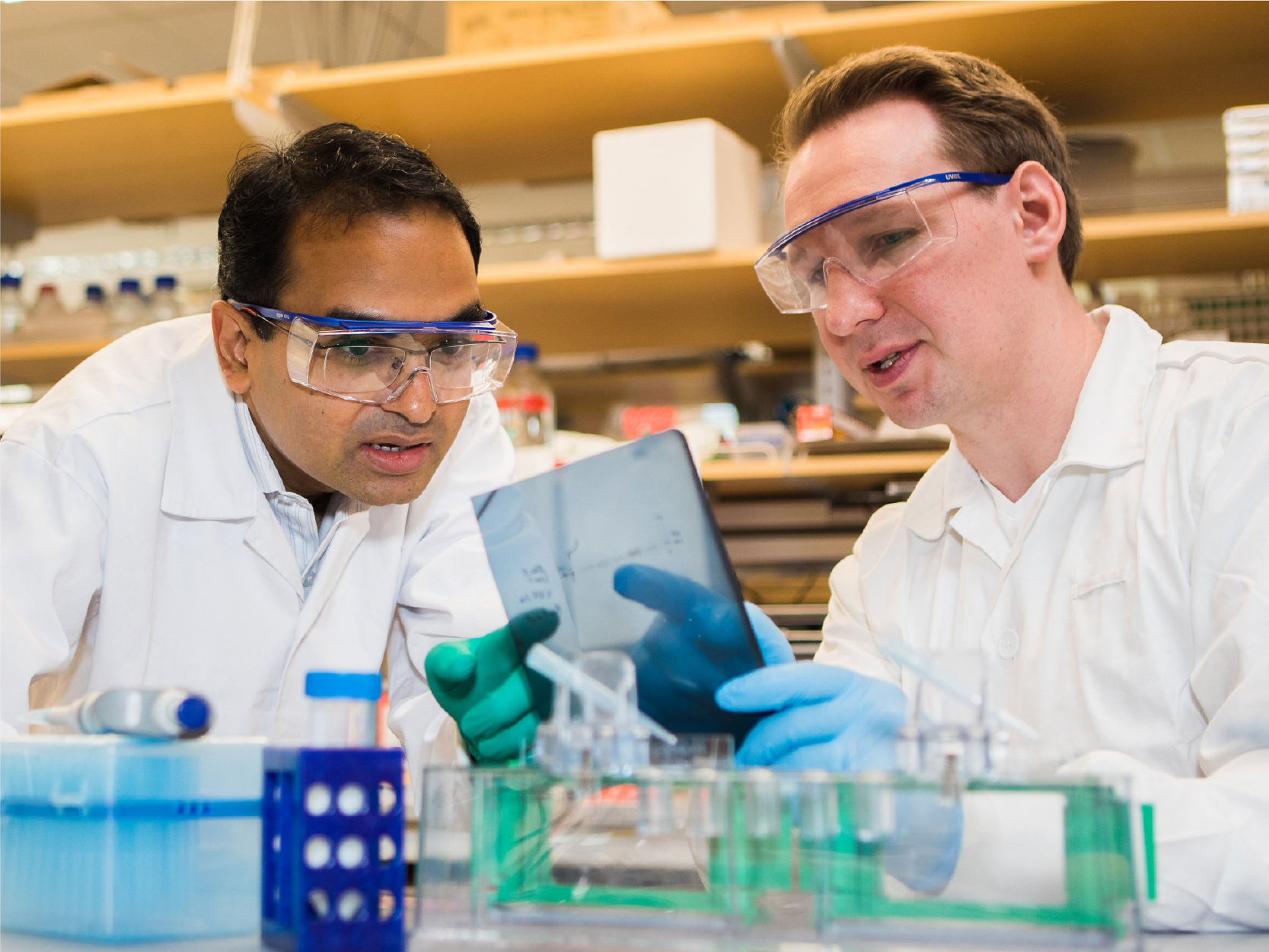 A photo of Dr Anand Jeyasekharan who is STCC's Translational Research Integration & Support platform lead and he is with a cancer research collaborator discussing translational cancer data in his cancer research laboratory.